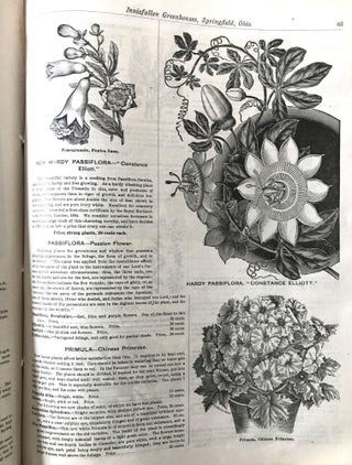 [HORTICULTURE] [TRADE CATALOGUE] Charles A. Resser; Innisfallen Greenhouses