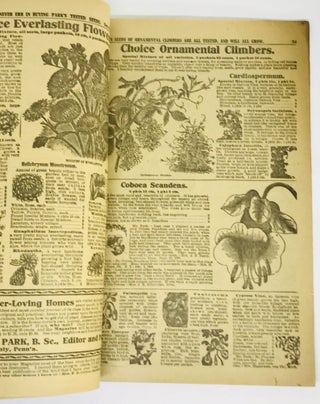 [TRADE CATALOG] Park's Floral Guide for 1911; Superb New Ivy Geraniums