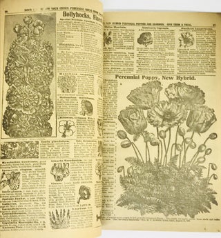 [TRADE CATALOG] Park's Floral Guide for 1911; Superb New Ivy Geraniums