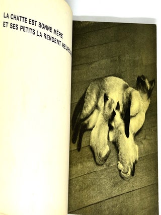 REGARDE!