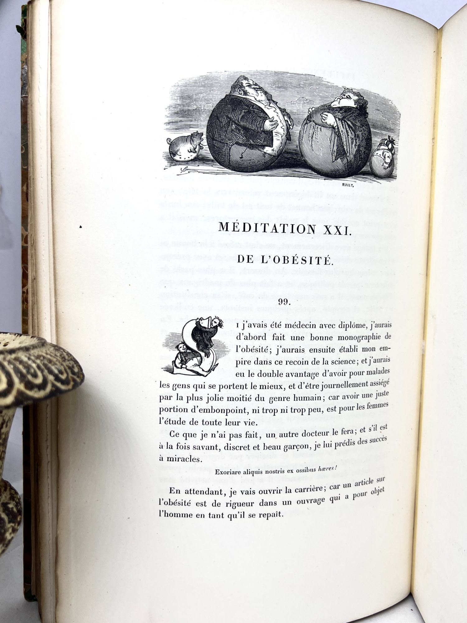 PHYSIOLOGIE DU GOUT; PRÉCÉDÉE D'UNE NOTICE PAR ALPH. KARR | Jean