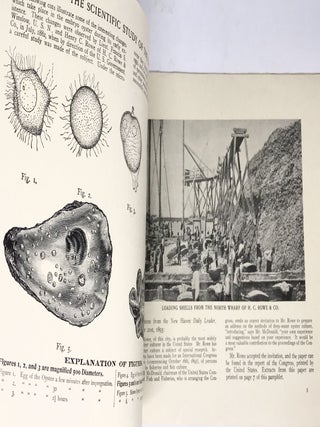 Rowe's Long Island Native Oyster. A Treatise on Modern Oyster Culture