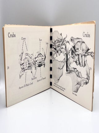 The Craft of Dismantling a Crab; How To Open Clams, Crabs, Lobsters, Oysters & Other Shellfish