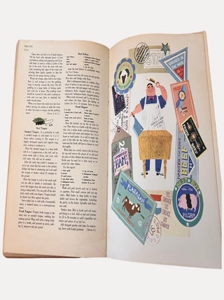 The Fireside Cook Book; A Complete Guide to Fine Cooking for Beginner and Expert Containing 1217 Recipes and Over 400 Color Pictures