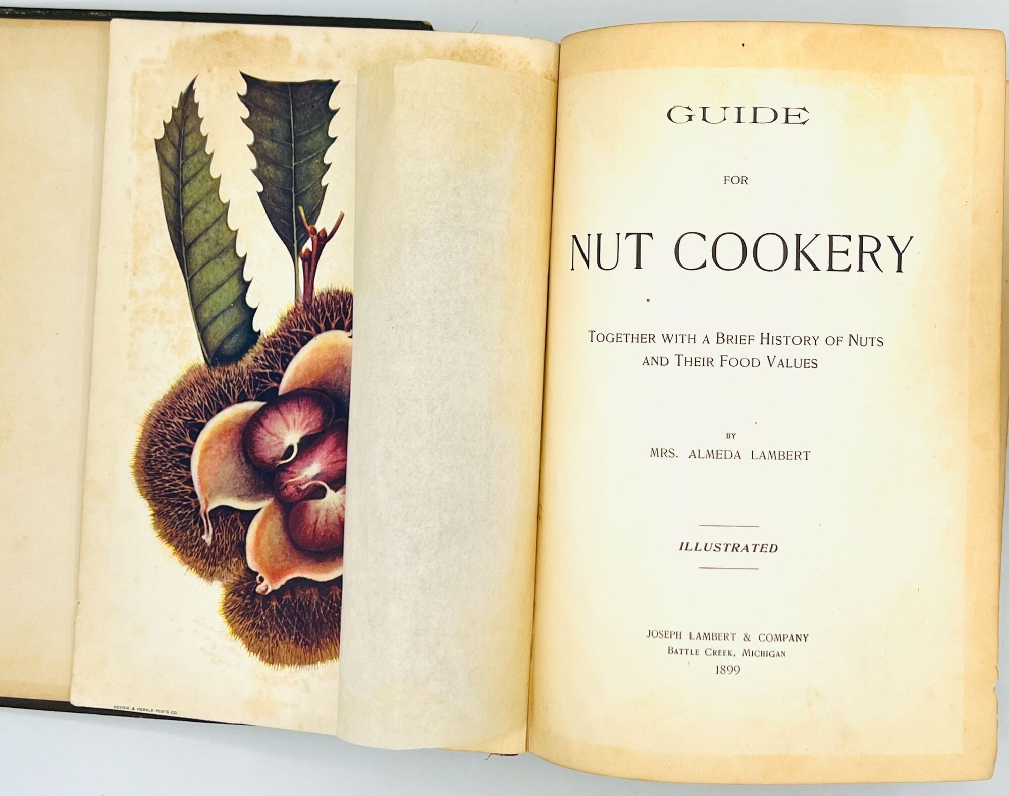 GUIDE for NUT COOKERY; TOGETHER WITH A BRIEF HISTORY OF NUTS AND