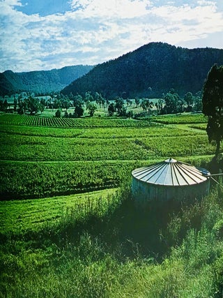 The Wines & History of The Hunter Valley